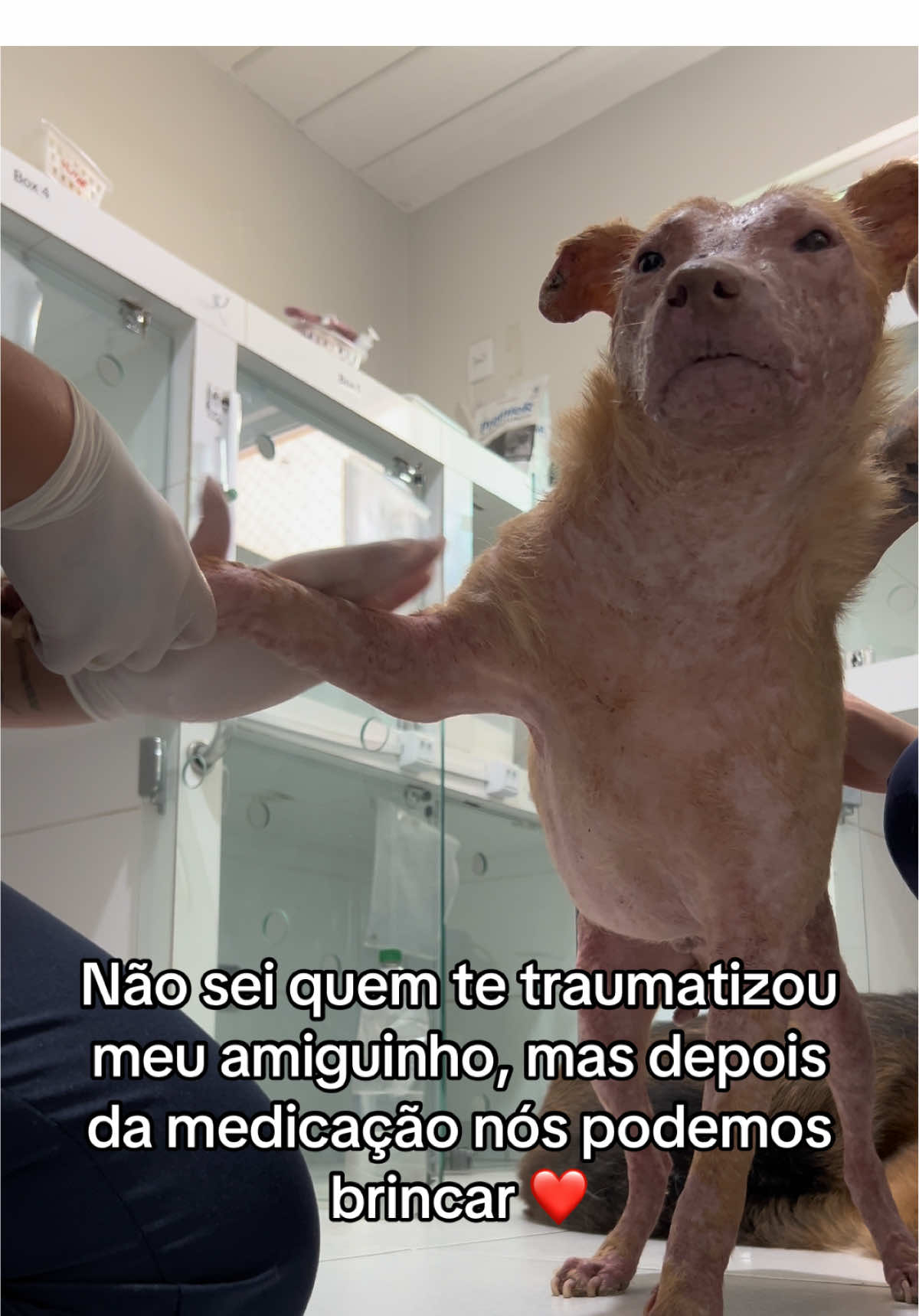 Não precisa de fucinheira titia, é só passar a mão de levinho no meu machucado ❤️