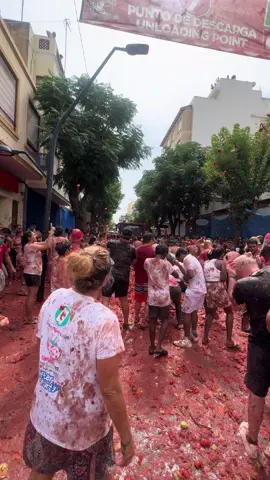 #tomatina2025 #viraltiktok #fyppppppppppppppppppppppp #guerra #🍅 