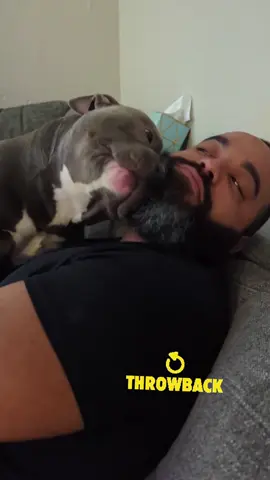 One year ago today we launched our page with this gem! 🐕🥂👏We have had so much fun with you all! Thank you for being here! 🐾🐶🐕🦴 #animals #bullybreeds #staffysoftiktok #dogs #pittiesoftiktok 