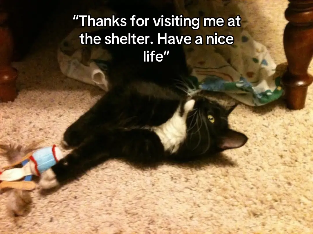 Couldn’t imagine life without you 🤍