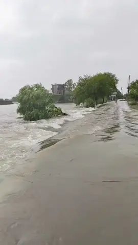 #flood #sialkot #punjab #pakistan 