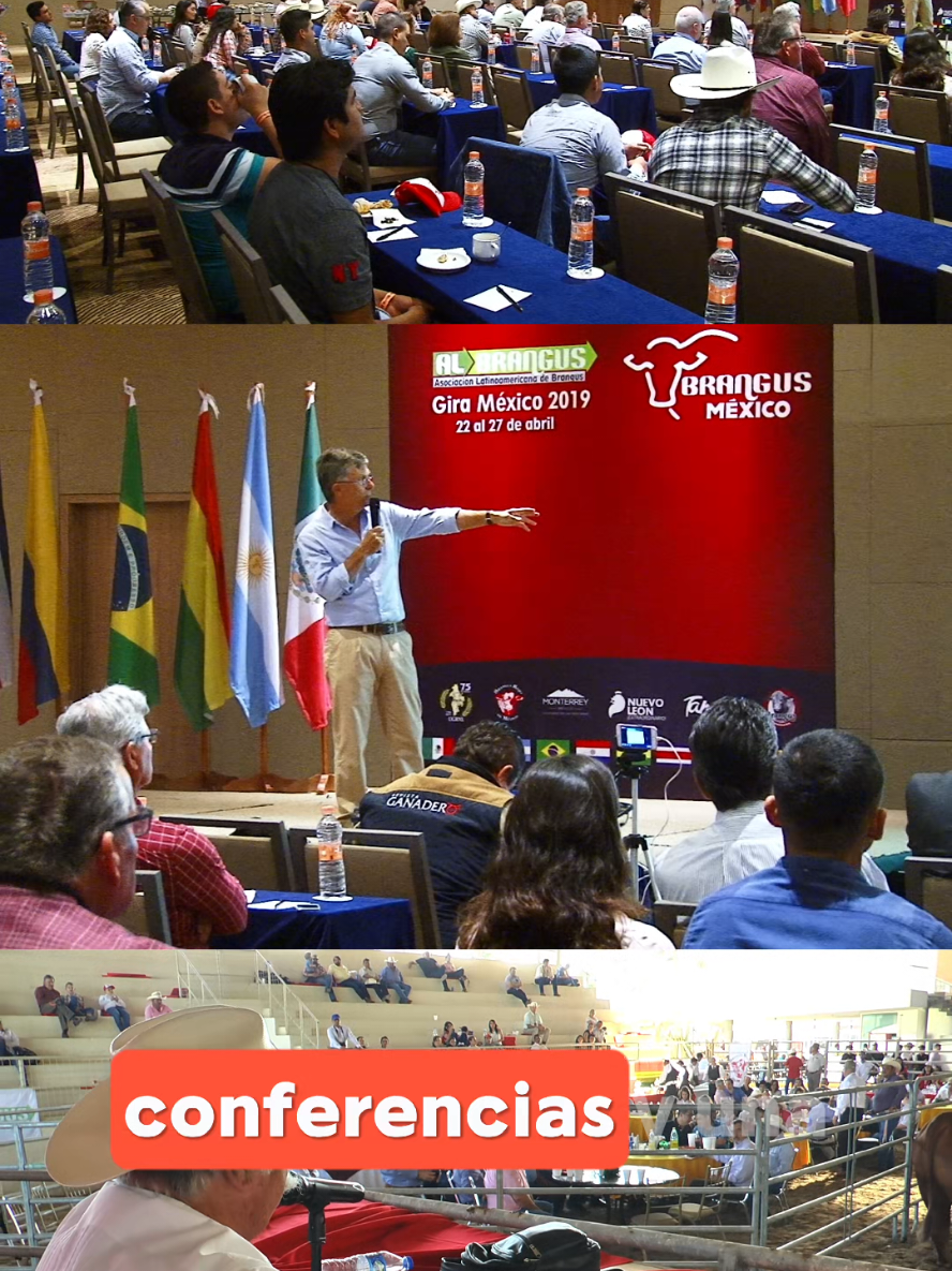 ¡No te pierdas el Congreso Latinoamericano AL Brangus 2025! 🤠🔥 El MVZ. Sergio Garza Quiroga de Rancho Santa Cecilia, tiene un mensaje muy importante para todos los apasionados del Brangus. Ven y sé parte de este evento sin precedentes. ¡Aprende de los mejores, conecta con líderes de la industria y lleva tu ganadería al siguiente nivel! 💯🔝 Si quieres saber más información sobre el evento envíanos un mensaje o visita nuestro sitio web. 👇🏼 www.brangusrojomexico.com.mx #Congresoganadero #Ganadería #Ganado #BrangusRojo #Brangus 