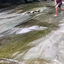 #surfnapedraparatyrj 