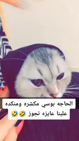 #soso✨ #الشعب_الصيني_ماله_حل😂😂 #قطط #السعودية #مصر 