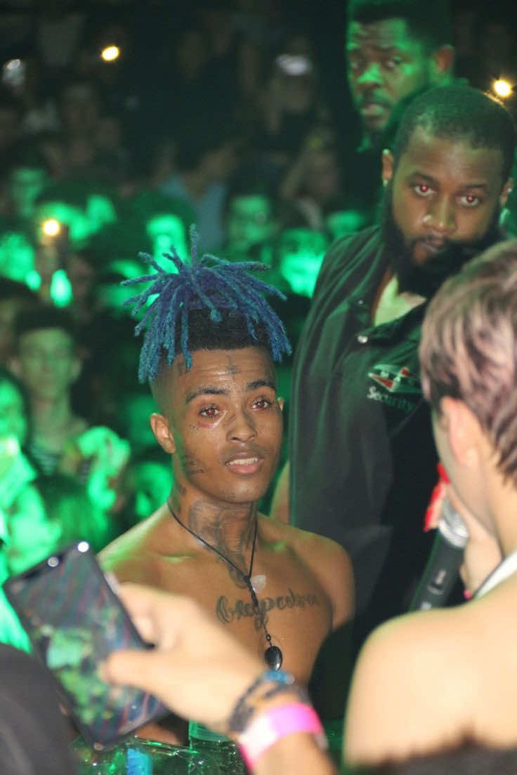 palm trees is so calming#xxxtentacion #makeouthill #fypシ #xybca #fyp @wracxxx. 𖣂 @𖣂ׁmilanaa𖣂ׁ @harley 