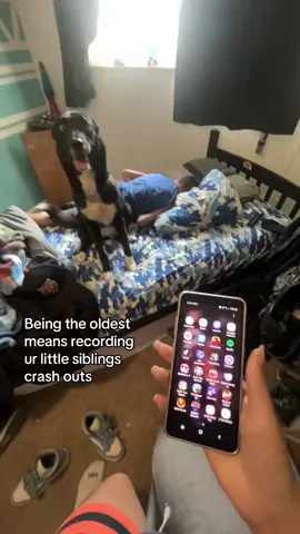 (Dog is fine she rolls off the bed like hat herself perfectly fine they do this playing he was also mad bc I took his phone bc he didn’t want to do his reading log) #funny #crashout #Siblings #crying #fyppp 