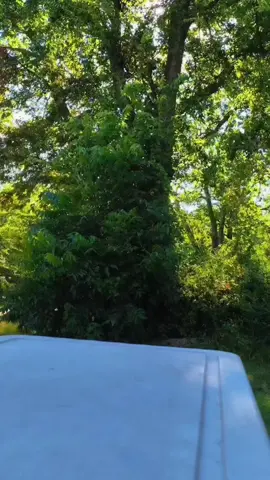 #fypシ #foryourpage #fypage Star Destroyer and Venator credit: Star Wars Bad Batch 