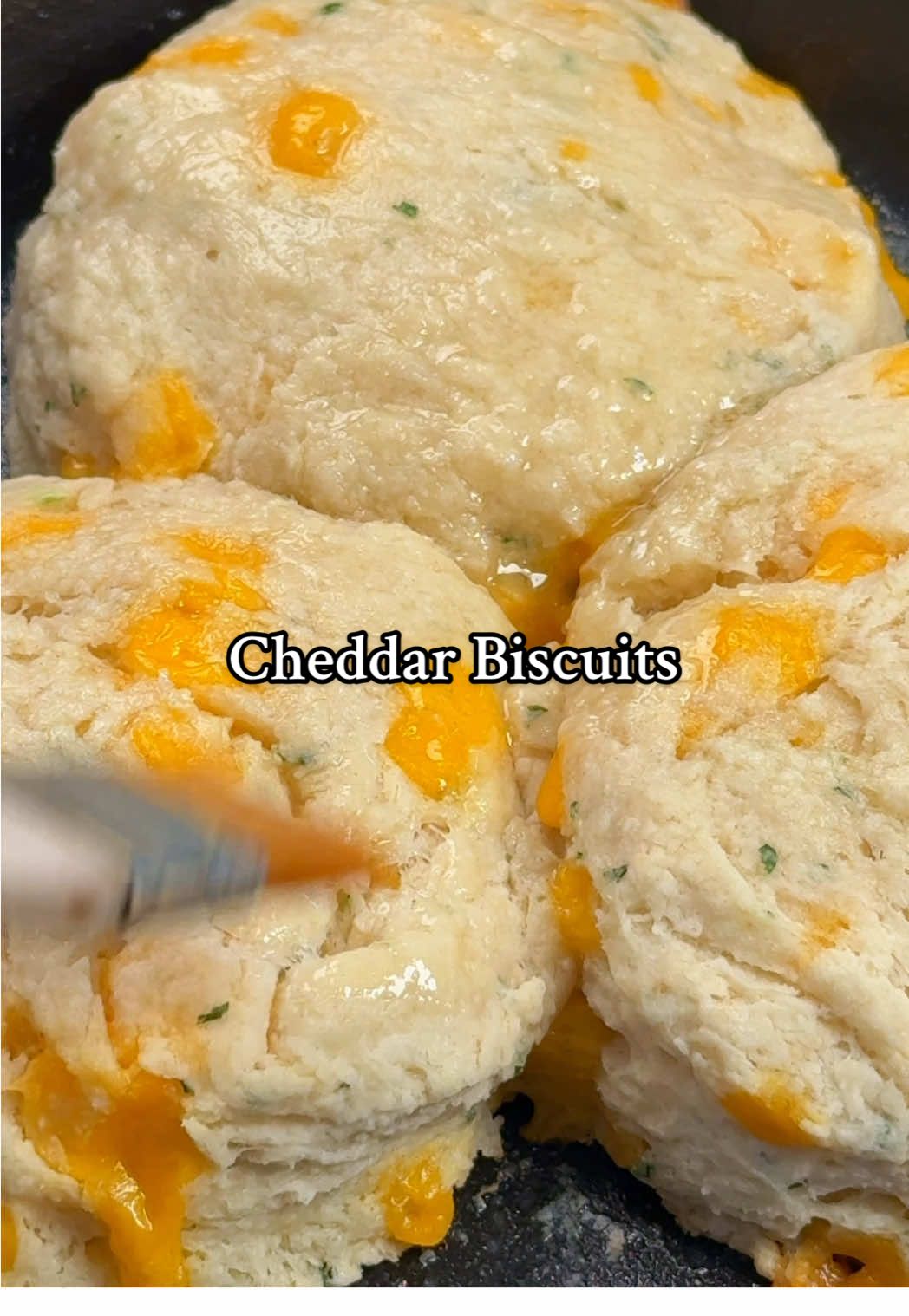 🧀✨ The Cheesiest Biscuits You’ll Ever Taste! ✨🧀 These soft cheddar biscuits are so buttery, flaky, and loaded with cheese that you’ll never look at plain biscuits the same way again. 🥖🔥 Would you serve these with dinner 🍽️ …or just eat them straight out of the oven? 😋 📥 My e-book is linked in my bio! #CheddarBiscuits #CheeseLovers #ComfortFood #EasyBaking