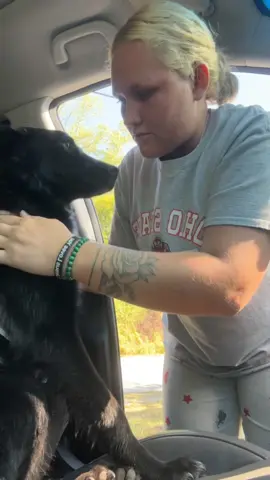 Love this doggy vest so many cute styles 🐶 #foryou #fyp #dogsoftiktok 