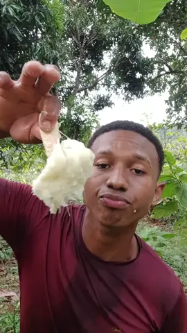 graviola #frutas #natureza #graviola 