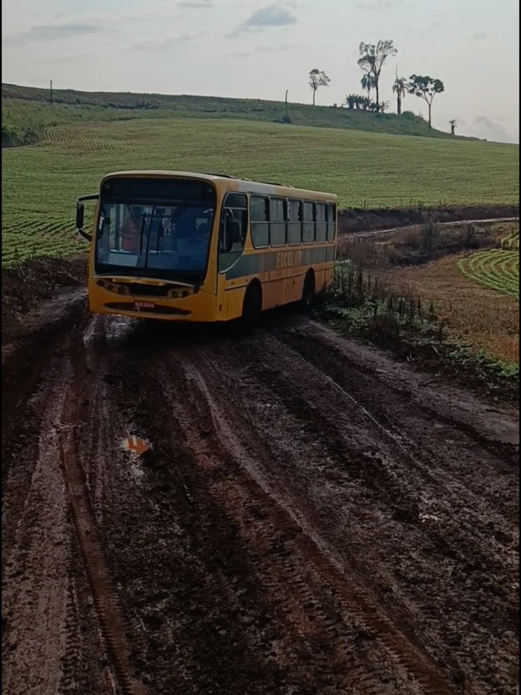 #transporteescolar #onibus #foryou #deus_no_controle #fypシ 