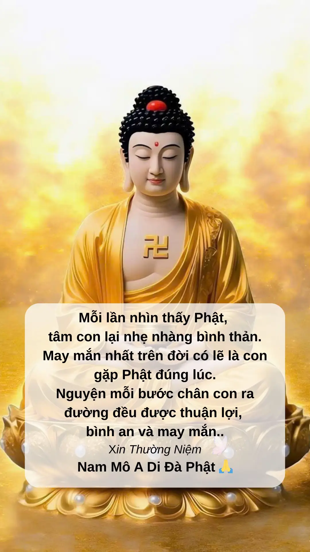 #phatphapnhiemmau #phatphap #hocloiphatday 