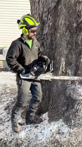 It was difficult to cut it down because the tree trunk was so hard.#woodcutter #treanding #trendingvideo #trends 