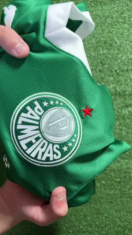 🐷 . .. . . . . . . . #fyp #camisadetime #palmeiras 