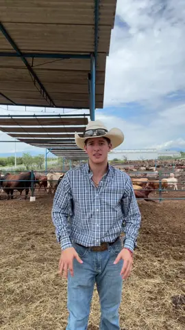 Haciendo el trend de mi compa Memo #rancho #cowboy #witto #vaqueros 