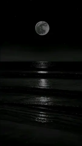 #سورة #يوسف #سيد #العلم #الدين 