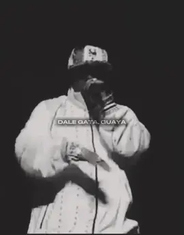 EL FATHER😮‍💨🔥#letras #hectorelfather #reguetonantiguo #fyp #musik 