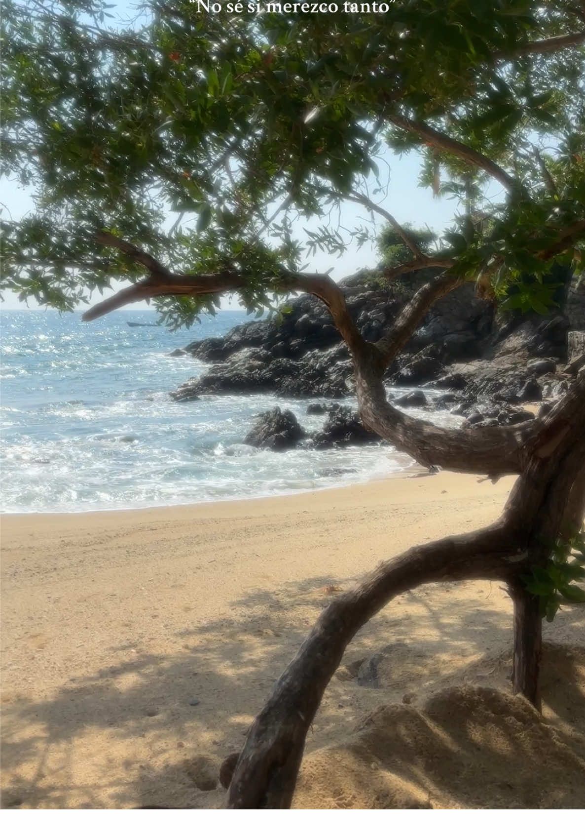 No se me olvidaa esto es bellísimo 🐚 🌴 