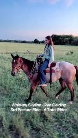 Dad always said “There’s to many god ones to get hurt on a bad one.” This horse is proof the good ones are worth waiting for! 🥰 #streakinirishrelic #paddysirishwhiskey #coltstarting #barrelracer #barrelracing 
