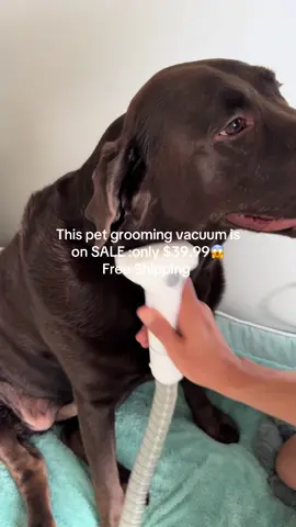 You can’t beat this price . The best 6 in 1 pet grooming vacuum kit with multiple attachments from deshedding brush to grooming clippers and more #petvacuum #dogvacuum #petgrooming #tiktokshop #petgroomingvacuum 