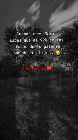 #los dueños de mi galería#mishijos  #fotosyrecuerdos #fyppppppppppp 