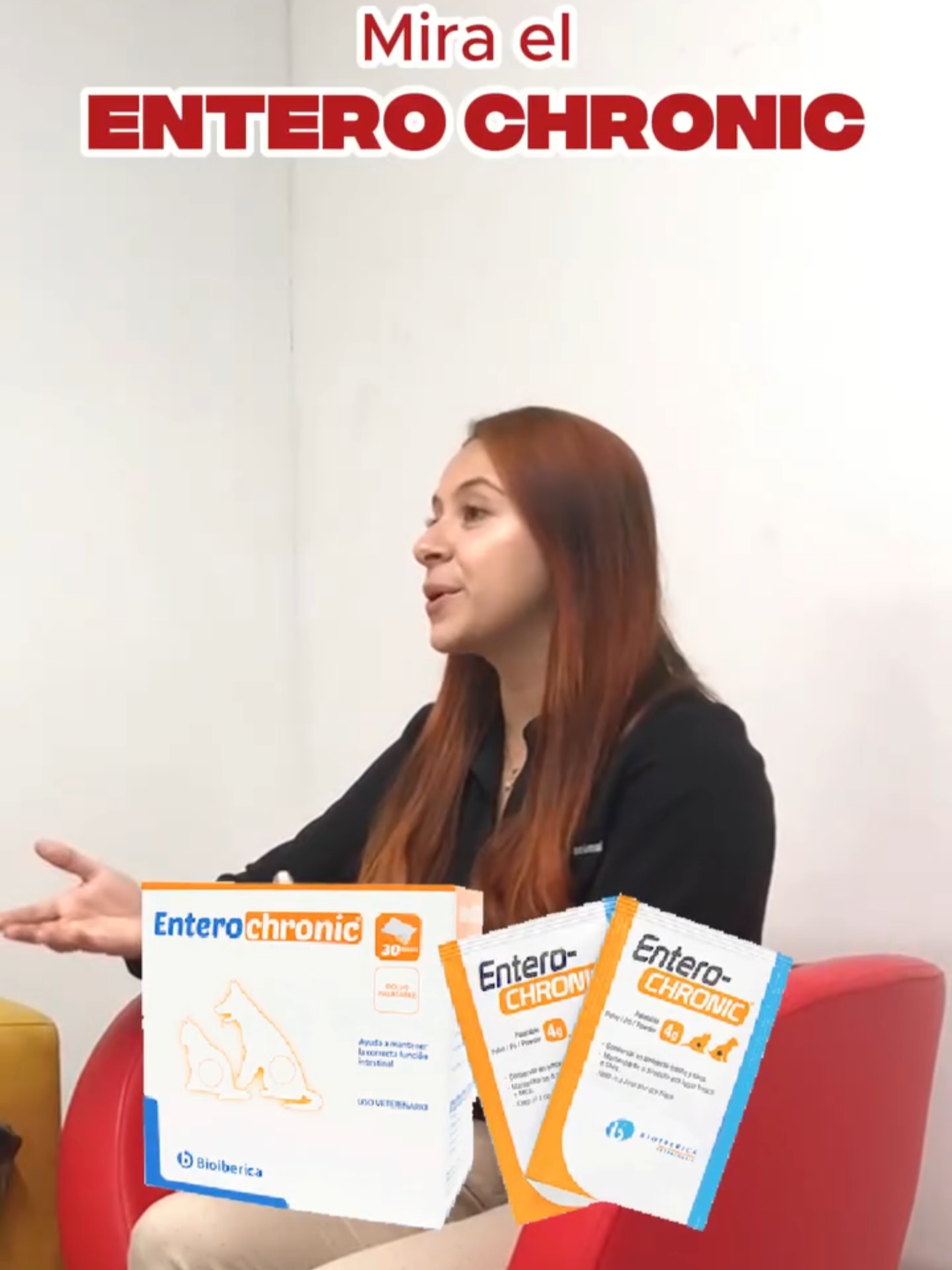 🎥✨ Hoy en el ☕️ con Ver+Agro nos acompaña nuevamente Laura, nuestra médica veterinaria de confianza 🩺🐾 En esta ocasión nos hablará sobre problemas de diarrea y alteraciones intestinales en nuestras mascotas, un tema más común de lo que creemos. 💡 Además, nos presentará Entero Chronic, un alimento complementario para perros y gatos que: ✅ Ayuda a mantener la correcta función intestinal ✅ Es ideal como soporte en casos de alteraciones intestinales de larga duración ✅ Útil cuando se han administrado antibióticos u otros fármacos por tiempo prolongado Porque su salud intestinal es clave para su bienestar, ¡cuida a tu peludo desde adentro hacia afuera! 🐶🐱 #SaludIntestinal #EnteroChronic #CuidadoDeMascotas #VetConsejos #MascotasFelices