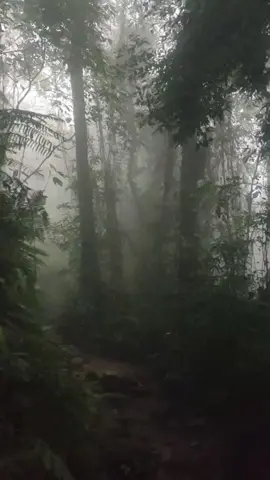 jalan sendri pun jadi 