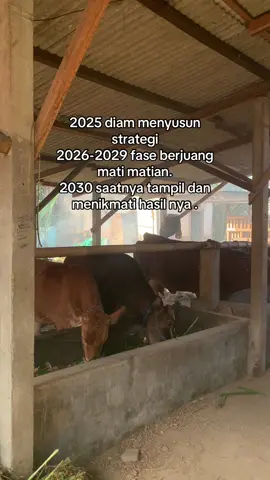 #fypシ #nusajayafarm #blantik #luarbiasa 
