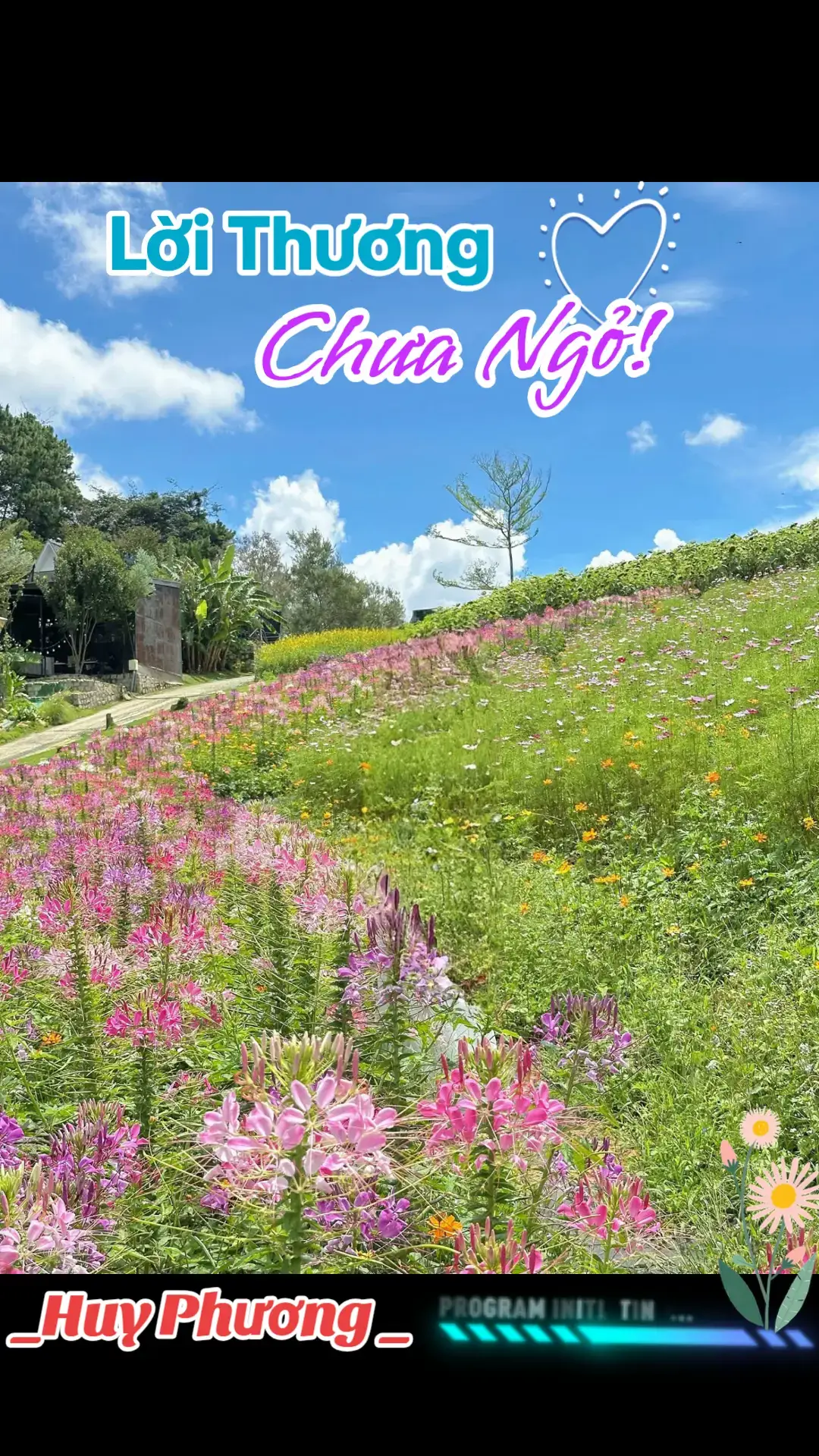 Lời Thương chưa ngỏ! #nhachaymoingay #huyphuong #kyniemxua #cakhuchay #xuhuongtiktok 