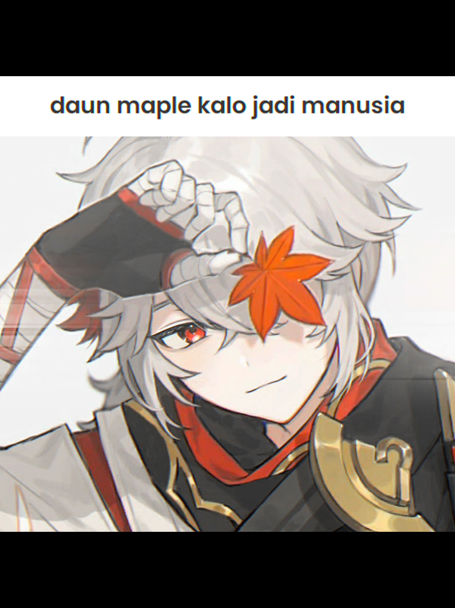bukankah ini my.. #kazuha #kaedeharakazuha #GenshinImpact #genshin #maple 