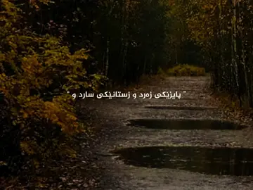 پایز🍂..#mohsenchavoshi 
