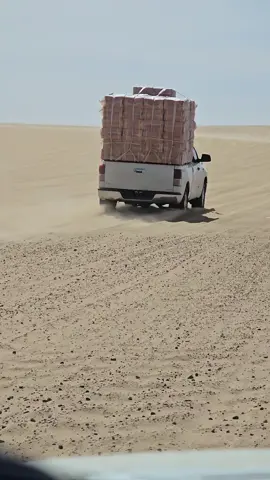 #ازويه_اسياد_الجنوب_الليبي❤️‍🔥 #الكفرة🇱🇾_الجنوب_الشرقي #تازربو__جالو_اوجله_اجدابيا❤اجخرة #جغبوب_طبرق_الصحراء_ليبيا❤️🔥 #الجنوب @الزوي @مصطفئ الزوي @الساعدي الزوي @بوعيده الزوي @عبدالحميد بوجبريل الزوي 