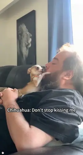 part 88:Don't stop kissing your dog#dog#funny#foryou#fpy#cute