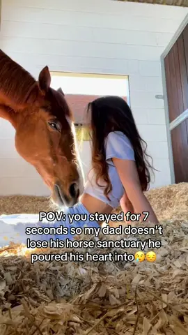 Please share and comment anything to help boost this post🥹 ❤️ 🙏 #savehorses #horsefarm #animalsoftiktok #sanctuary #jewelry 