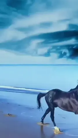 الحياة تختبرنا بطرق غريبة  حكم.ومواعظ #communityfest2025 #creatorseachinsights اشرف بدير 