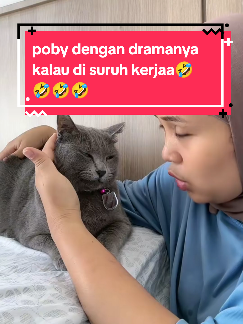 #pororo #pororoandthegank #pororocats #pororopoby #petsofdyson 