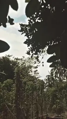 #fyppppppppppppppppppppppp #lewatberanda 