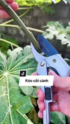 Cây kéo cắt cành trợ lực Nhật Sk5. #keocatcanh #keocatcanhtroluc #keocatcanhcay 