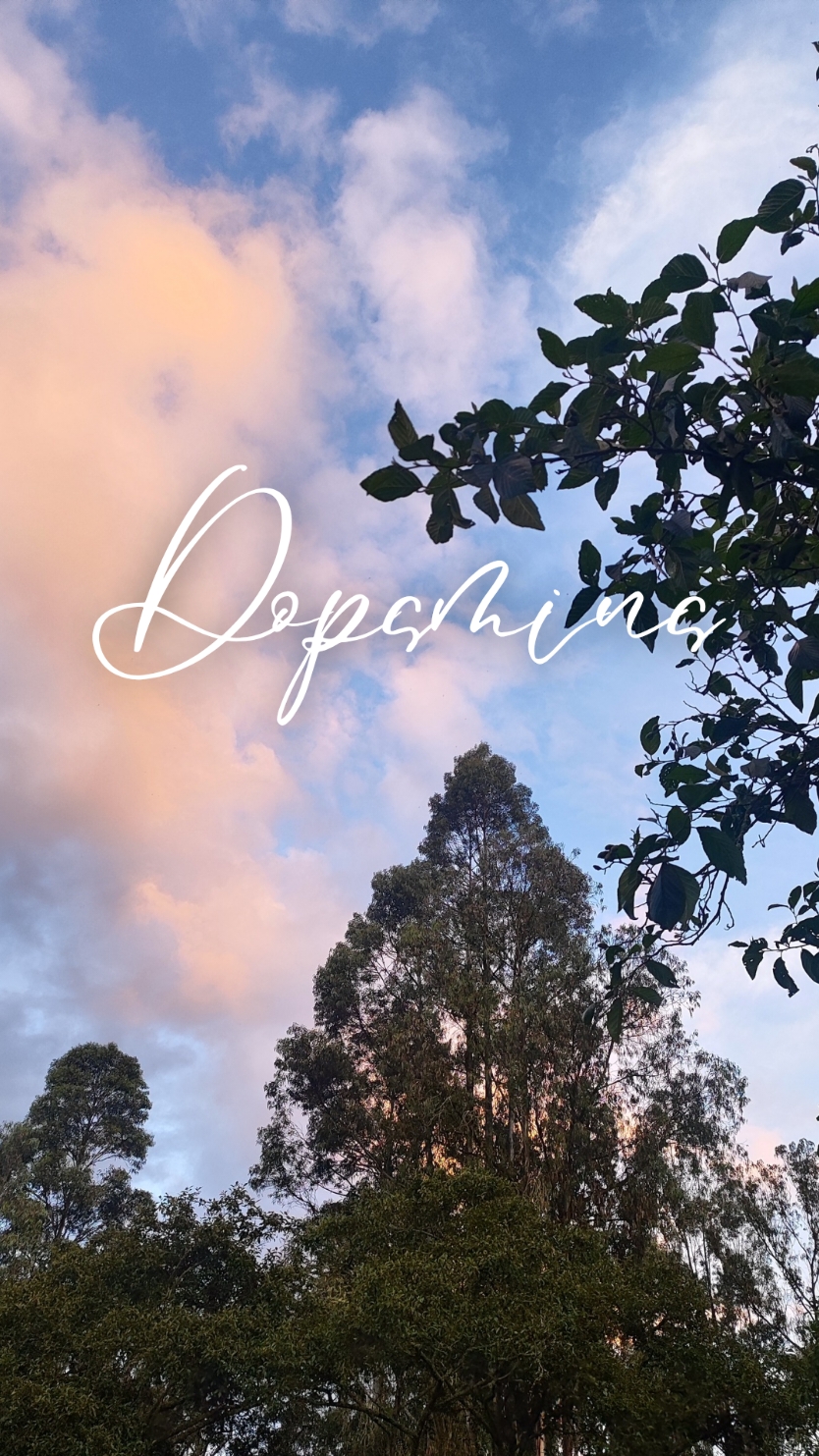 En un mundo de cortisol, procura ser tú la dopamina 🍀 #naturaleza #paisaje #paute #azuay #dopamina #fyp 