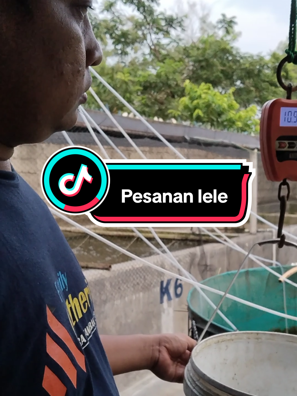 Orderan Lele Konsumsi Untuk Acara Keluarga 🤝🙏