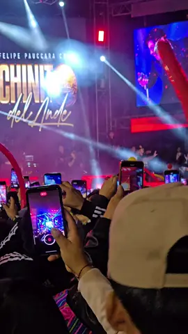 Chinito del ande en complejo  santa rosa ##chinitodelande 