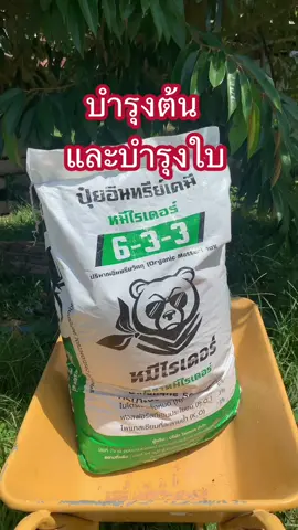 ฟื้นต้น บำรุงใบ ใบหนา ใบใหญ่ แนะนำ 6-3-3 #ปุ๋ยหมีไรเดอร์ #ปุ๋ย633 #ปุ๋ยทุเรียน #สวนทุเรียน 