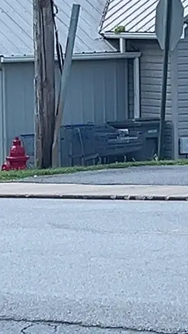 Isnt that stealing?#neighbors #fyp #viral #viralvideo #viralfyp 