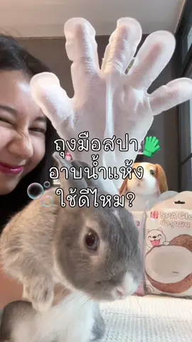 1 ถุงมือ = ครบจบ ทั้งสะอาด ทั้งหอม แก้ปัญหาสัตว์เลี้ยงเลอะ แต่อาบน้ำไม่ได้! 🧤🫧 สะอาด ปลอดภัย อ่อนโยนต่อสัตว์เลี้ยง ##Aunflufftopia#cuteanimals #pets ##bunny #ถุงมือสปา 