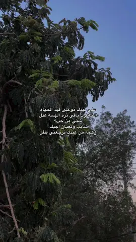 وكلمة من عندك ترجعني طفل🙇🏼‍♀️💗 #حب #العراق 