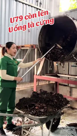 #xuhuong #bothan #daulung #lietduong #lietduong