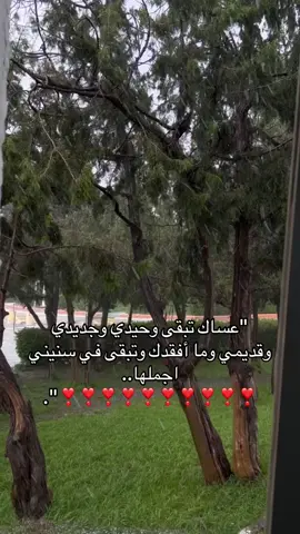 #اكسبلور_تيك_توك 
