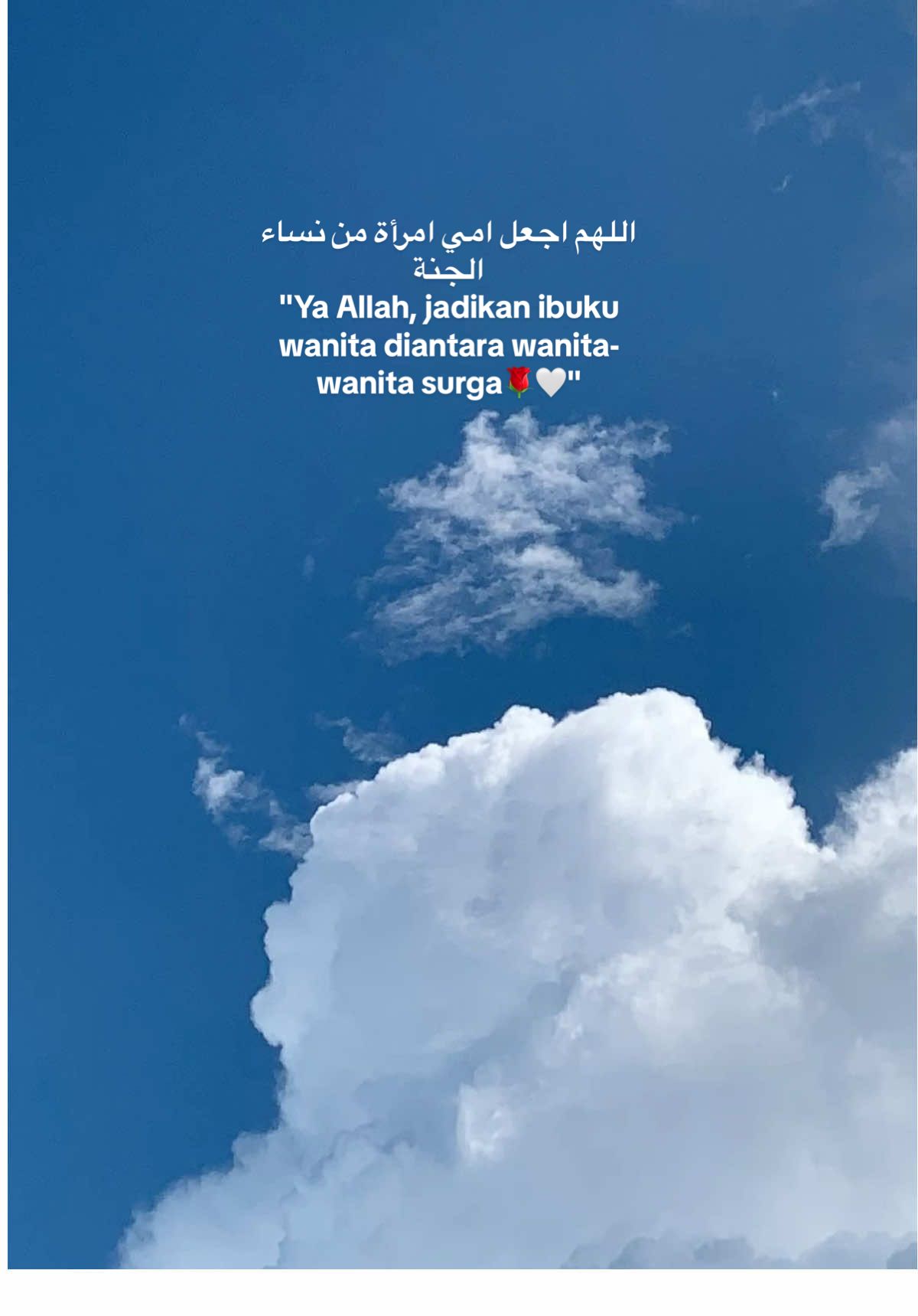 اللهم اجعل امي امرأة من نساء الجنة 