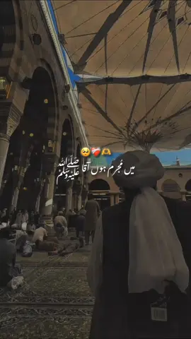 دُرُودِ پاک پڑھ لیں  صلی اللّٰہ علیہ وآلہ وسلم  it's Friday status/Naat 🤍🕊️  #foryou #foryoupage❤️❤️ #unfreezemyacount #12rabi_ul_awal #deeneislam665 