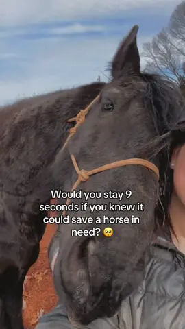 Every comment and Rewatch makes a difference for our horses thank you God bless ❤️ #horses